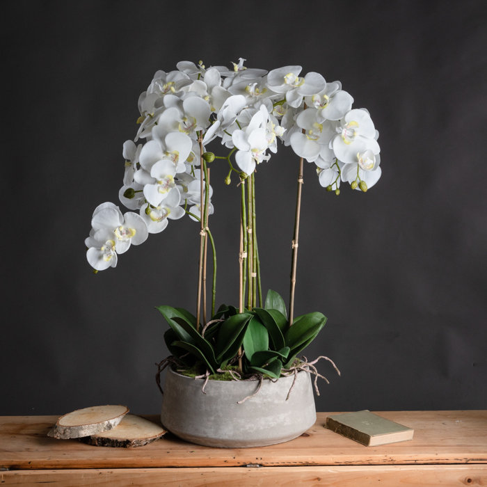 The Seasonal Aisle Artificial Orchid Plant in Pot Wayfair.co.uk